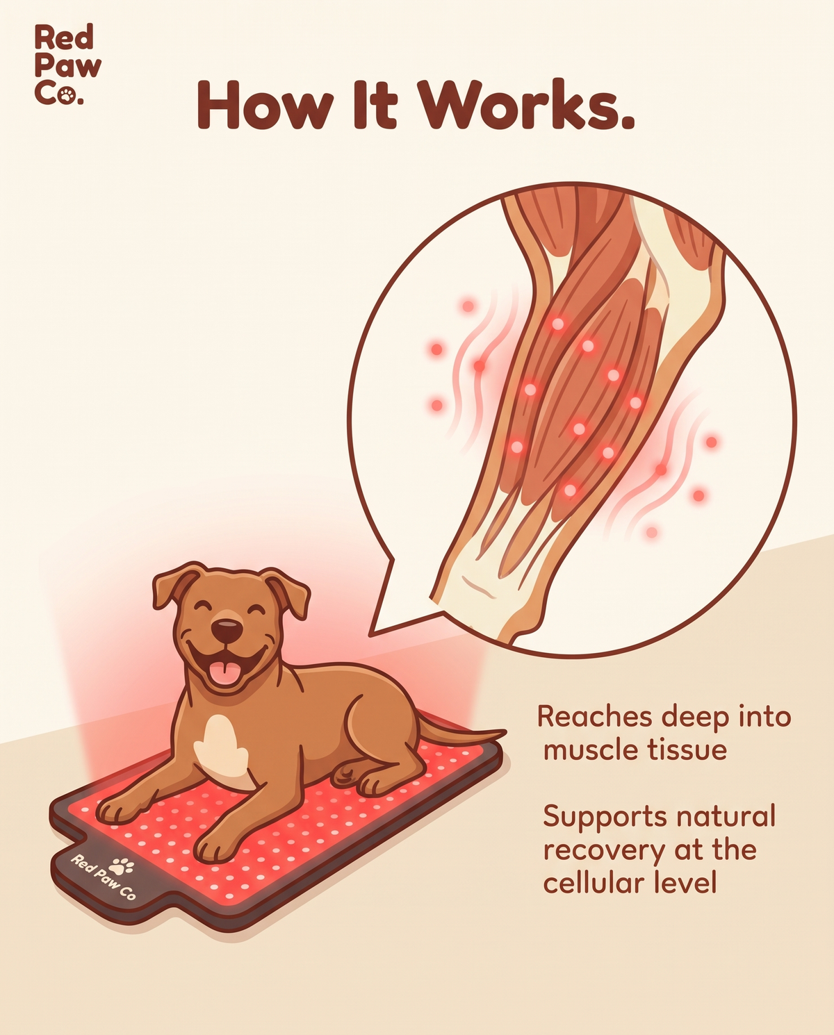 Red Paw Therapy Mat
