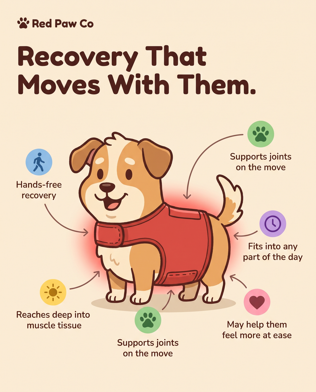 Red Paw Recovery Wrap